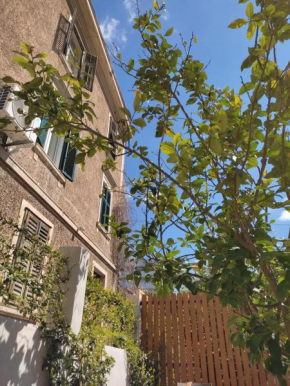 Studio apartman V